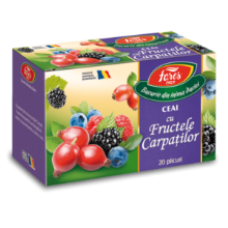 Fares - Tea Carpathians Fruit 20x2g