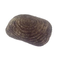 Gardesis - Dark Bread with Malt 500g